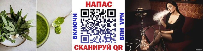 Купить закладки  Вятские Поляны  Cannafood марихуана 