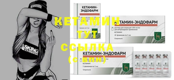 амф Зеленокумск