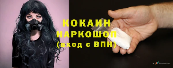 амф Зеленокумск