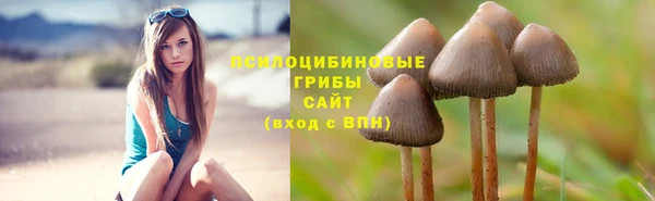 гидра Зерноград