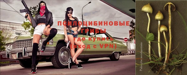 гидра Зерноград