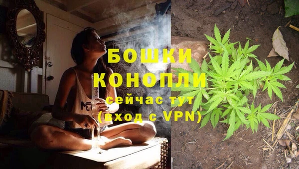 гидра Зерноград