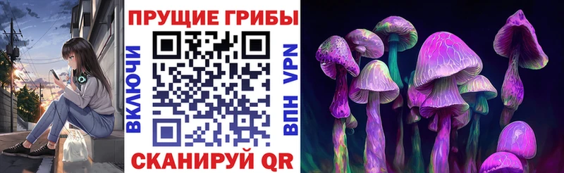 Псилоцибиновые грибы GOLDEN TEACHER  Купить где  Вятские Поляны 